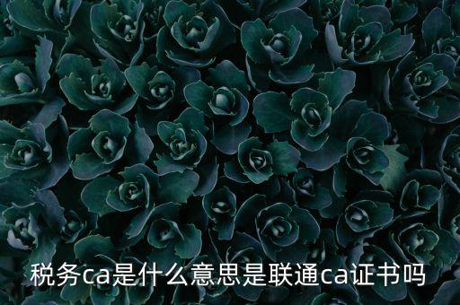 稅務(wù)ca是什么意思是聯(lián)通ca證書嗎