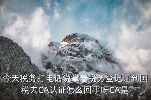 今天稅務(wù)打電話說拿著稅務(wù)登記證到國稅去CA認(rèn)證怎么回事呀CA是