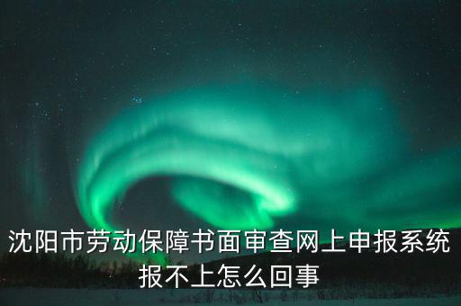 沈陽市勞動保障書面審查網(wǎng)上申報系統(tǒng)報不上怎么回事