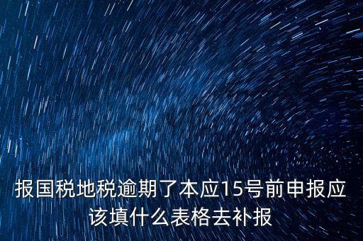 補錄國地稅信息都錄什么，報國稅地稅逾期了本應15號前申報應該填什么表格去補報