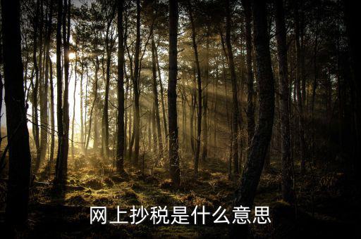 什么是網(wǎng)上抄報稅，抄稅和報稅是什么意思 應(yīng)該怎么做呢