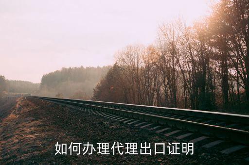 代理出口貨物證明什么企業(yè)可以，我公司是自營出口企業(yè) 但有部分貨是找代理公司出口的 代理公司在當(dāng)