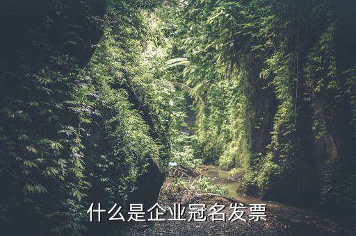 冠名發(fā)票屬于什么發(fā)票，什么是企業(yè)冠名發(fā)票