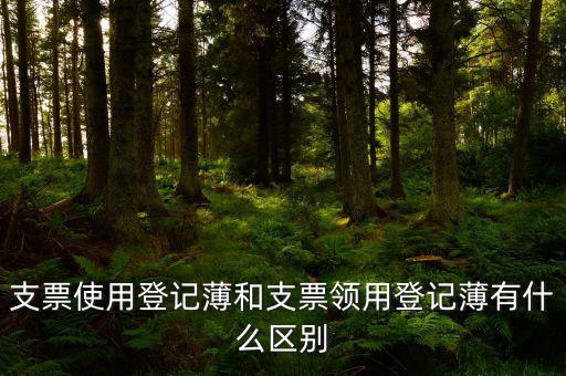 支票使用登記薄和支票領(lǐng)用登記薄有什么區(qū)別