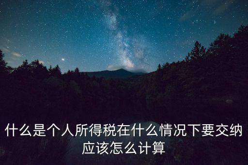 什么是個人所得稅在什么情況下要交納應(yīng)該怎么計算