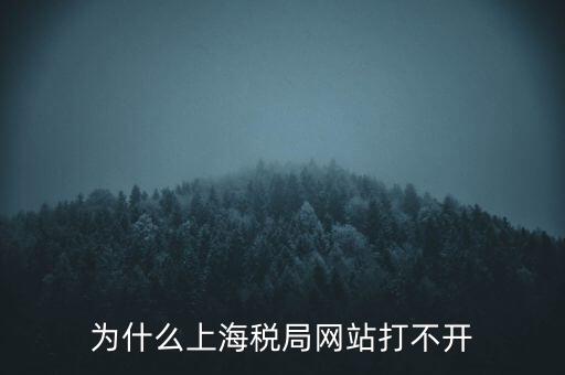 為什么上海稅局網(wǎng)站打不開