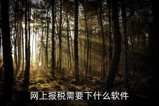 網(wǎng)上報稅需要下什么軟件