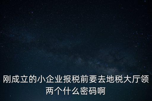 繳稅服務(wù)廳口令輸什么，剛成立的小企業(yè)報(bào)稅前要去地稅大廳領(lǐng)兩個(gè)什么密碼啊