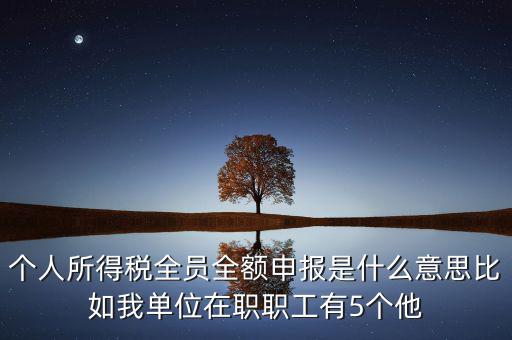 個人所得稅全員全額申報是什么意思比如我單位在職職工有5個他