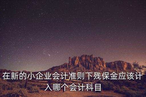 在新的小企業(yè)會計準(zhǔn)則下殘保金應(yīng)該計入哪個會計科目