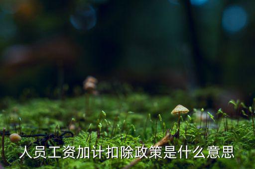 加計(jì)扣除有什么條件，人員工資加計(jì)扣除政策是什么意思