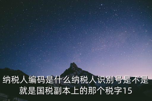 納稅人編碼是什么納稅人識(shí)別號(hào)是不是就是國(guó)稅副本上的那個(gè)稅字15