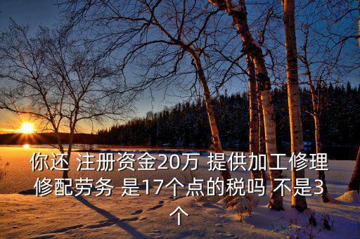 你還 注冊(cè)資金20萬 提供加工修理修配勞務(wù) 是17個(gè)點(diǎn)的稅嗎 不是3個(gè)