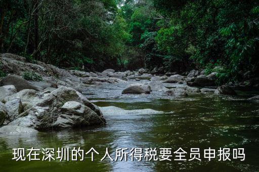 深圳為什么要個(gè)稅申報(bào)，外地企業(yè)如何在深圳為什么還要繳納個(gè)人所得稅1