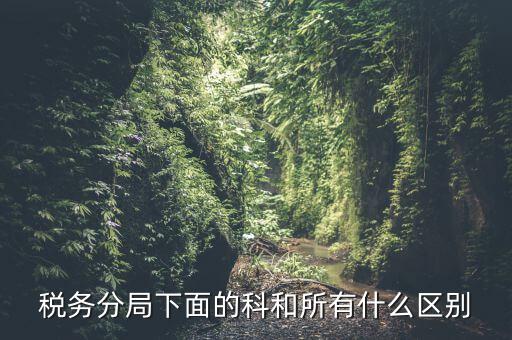 稅局計統(tǒng)科是什么意思，稅務(wù)分局下面的科和所有什么區(qū)別