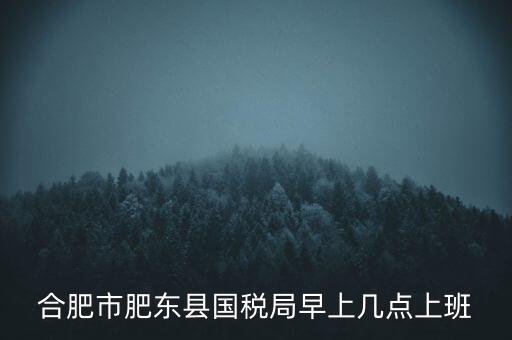 安徽國稅什么時候上班時間，國稅局的上班時間