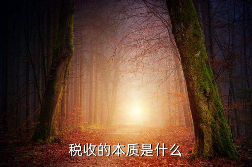 納稅服務(wù)本質(zhì)是什么意思，稅收的本質(zhì)是什么