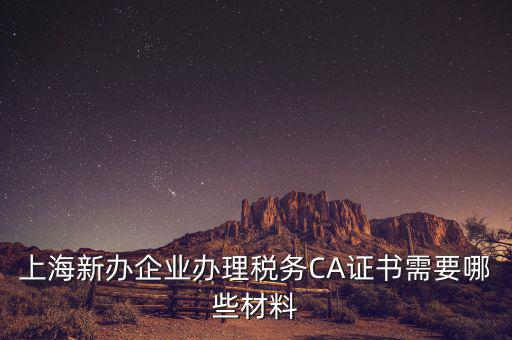 2014年7月份上海稅務(wù)局還需要審什么證，上海新辦企業(yè)辦理稅務(wù)CA證書需要哪些材料