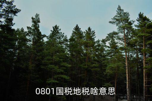 鹽城地稅三化是什么意思，地稅三優(yōu)兩促進是什么意思