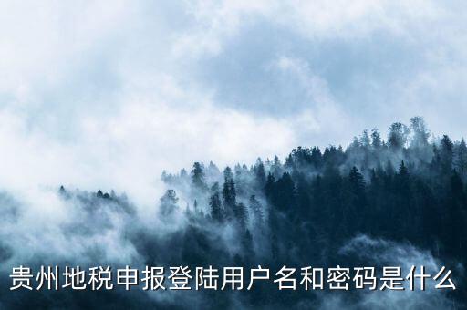 地稅登錄名密碼是什么意思，地稅申報的用戶名和密碼是什么