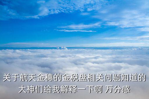 關于航天金穗的金稅盤相關問題知道的大神們給我解釋一下啊 萬分感