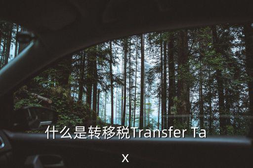 什么是跨地區(qū)稅收轉(zhuǎn)移企業(yè)，什么是轉(zhuǎn)移稅Transfer Tax