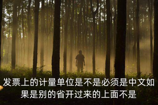 發(fā)票上的計量單位是不是必須是中文如果是別的省開過來的上面不是