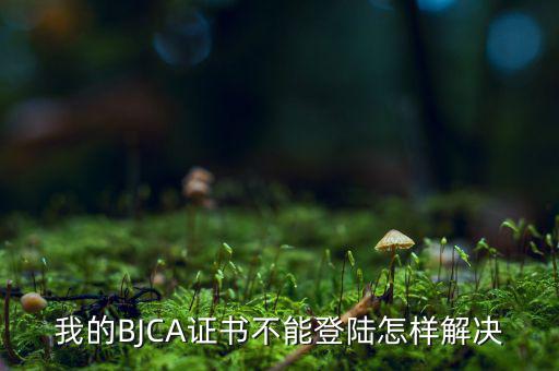 為什么ca證書不能登錄，我的BJCA證書不能登陸怎樣解決