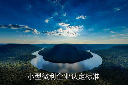 小型微利企業(yè)認定標準是什么，小型微利企業(yè)認定標準