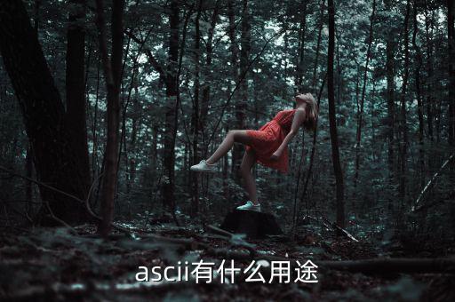 稅優(yōu)識別碼有什么用，ascii有什么用途