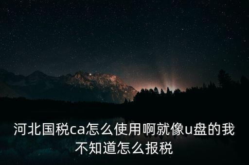 ca行助手是什么，稅務申報是否下載ca行助手就可以了