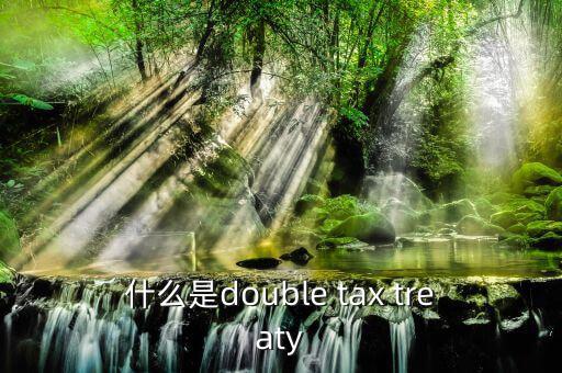 什么是double tax treaty