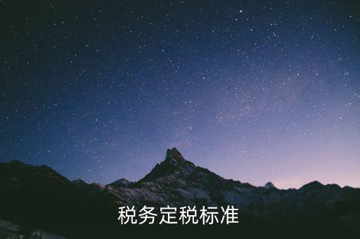 定稅是什么標(biāo)準(zhǔn)，稅務(wù)定稅標(biāo)準(zhǔn)