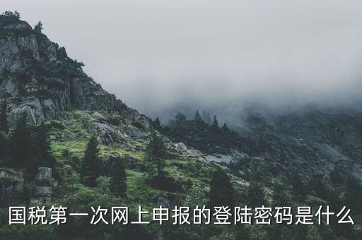 國稅第一次網(wǎng)上申報(bào)的登陸密碼是什么