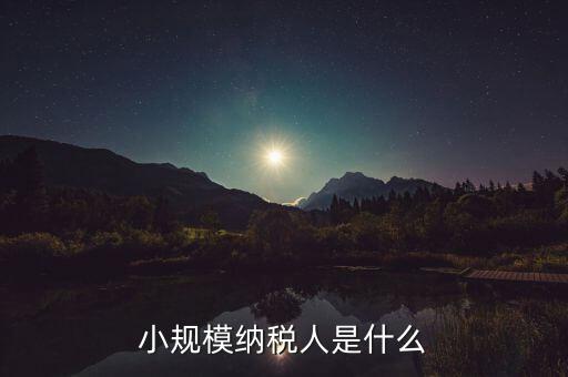 小規(guī)模納稅人是什么