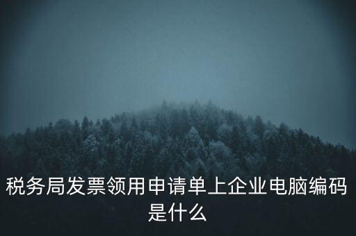 稅務局發(fā)票領用申請單上企業(yè)電腦編碼是什么