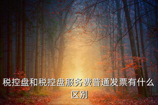 金稅盤和稅控盤有什么區(qū)別，金稅盤和稅控盤開出的發(fā)票有什么區(qū)別