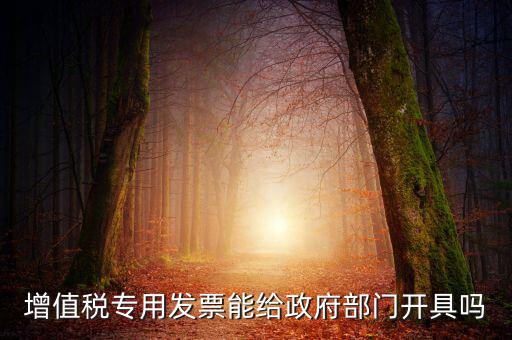 什么內(nèi)容的發(fā)票不可以給政府部門，增值稅專用發(fā)票能給政府部門開具嗎