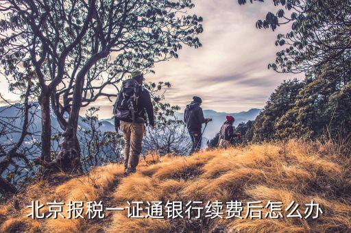 稅務(wù)一證通是什么，金稅盤和一證通有區(qū)別嗎