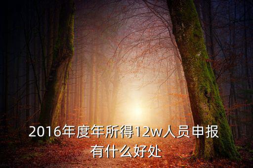 2016年度年所得12w人員申報 有什么好處