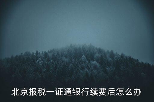 北京報稅一證通銀行續(xù)費后怎么辦