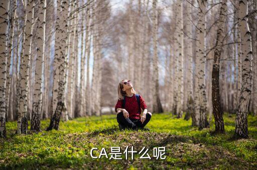 稅務(wù)ca 是什么，Ca是什么