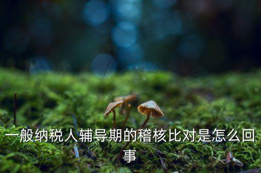 一般納稅人輔導(dǎo)期的稽核比對是怎么回事