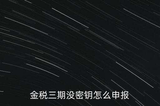 金稅三期沒密鑰怎么申報