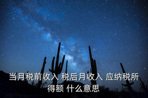 當月稅前收入 稅后月收入 應(yīng)納稅所得額 什么意思