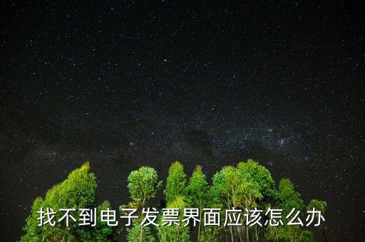 找不到電子發(fā)票界面應該怎么辦