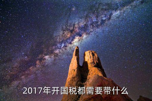 2017年開國稅都需要帶什么