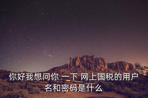 你好我想問(wèn)你 一下 網(wǎng)上國(guó)稅的用戶(hù)名和密碼是什么