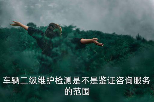 車輛二級(jí)維護(hù)檢測(cè)是不是鑒證咨詢服務(wù)的范圍