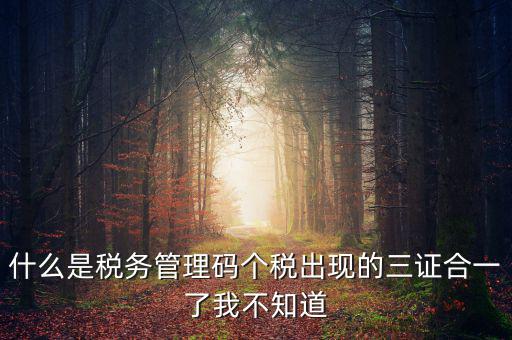 什么是稅務管理碼個稅出現(xiàn)的三證合一了我不知道